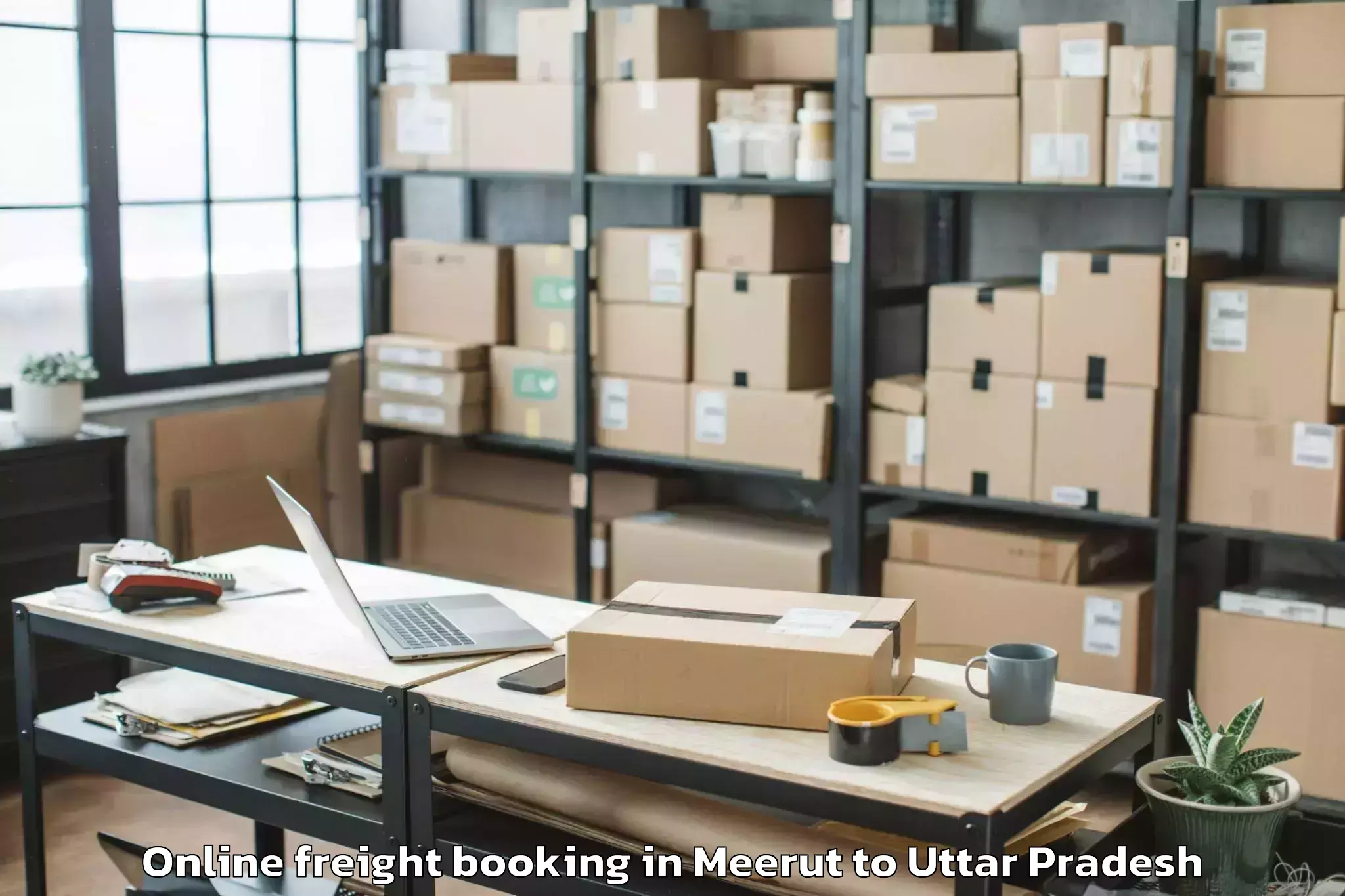 Book Meerut to Mahroni Online Freight Booking Online